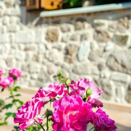 Anerocuru By Chania * Chania (Crete)