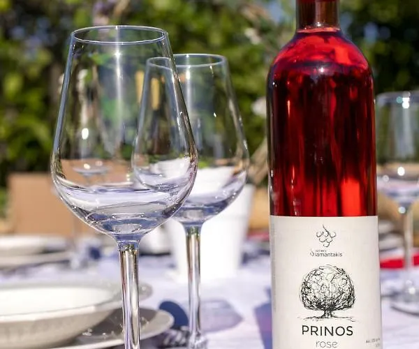 Anerocuru By Chania Σπίτι διακοπών *